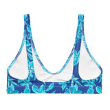 Midnight Bikini Top - Coastal Cool
