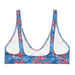 Coastal Cool X Freedom 250 Bikini Top-Coastal Cool